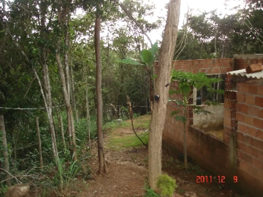 Chácara, 3 quartos, 1 hectares - Foto 9