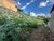 Terreno, 140 m² - Foto 3