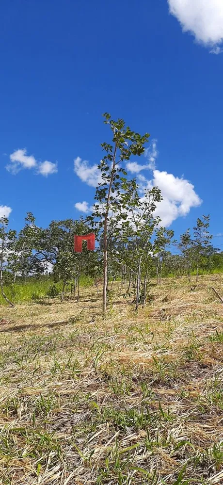 Terreno, 1034 m² - Foto 5