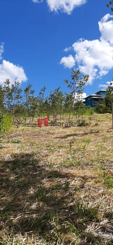 Terreno, 1034 m² - Foto 3
