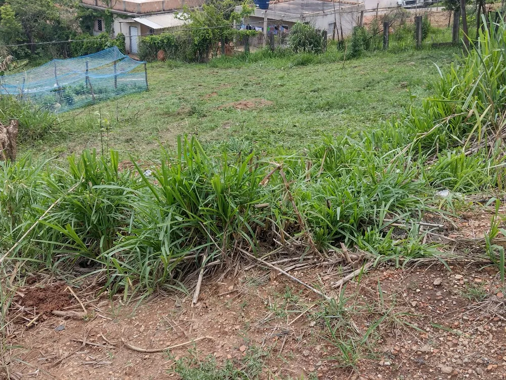 Terreno, 450 m² - Foto 7