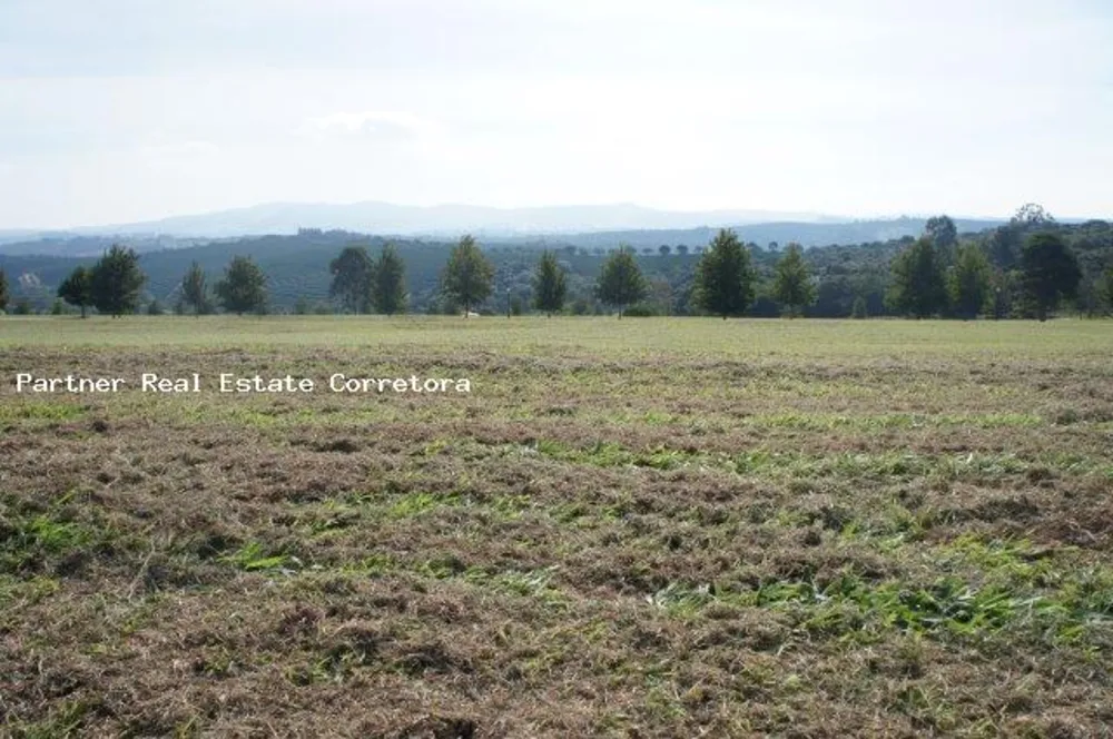 Terreno, 3162 m² - Foto 6