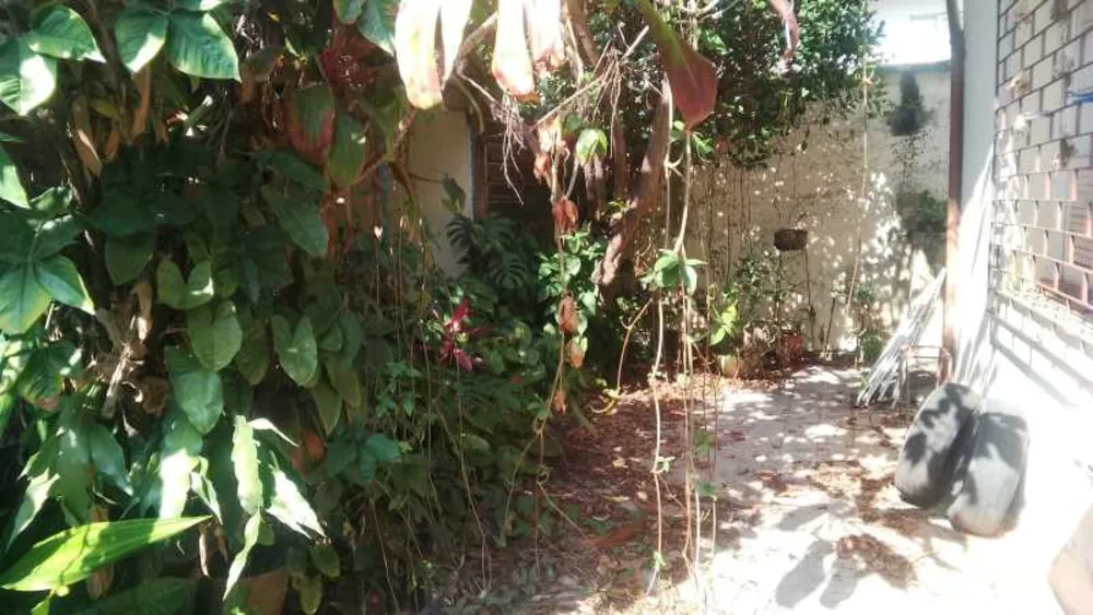 Casa, 3 quartos, 283 m² - Foto 5