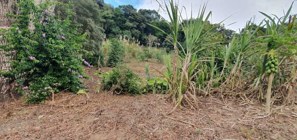 Sítio, 3 quartos, 20 hectares - Foto 7