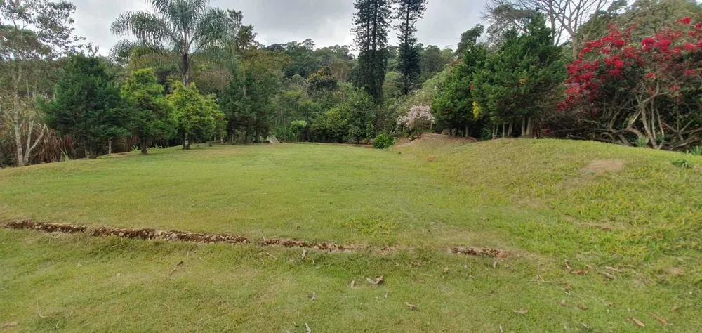 Sítio, 3 quartos, 20 hectares - Foto 4