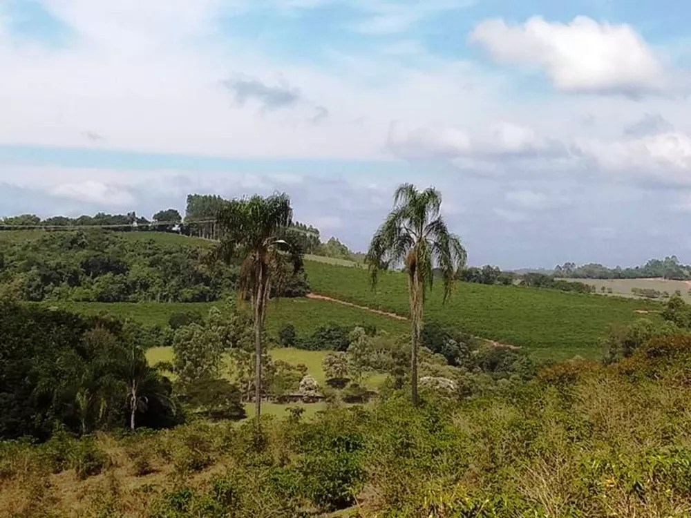 Chácara à venda com 1 quarto, 590000m² - Foto 13