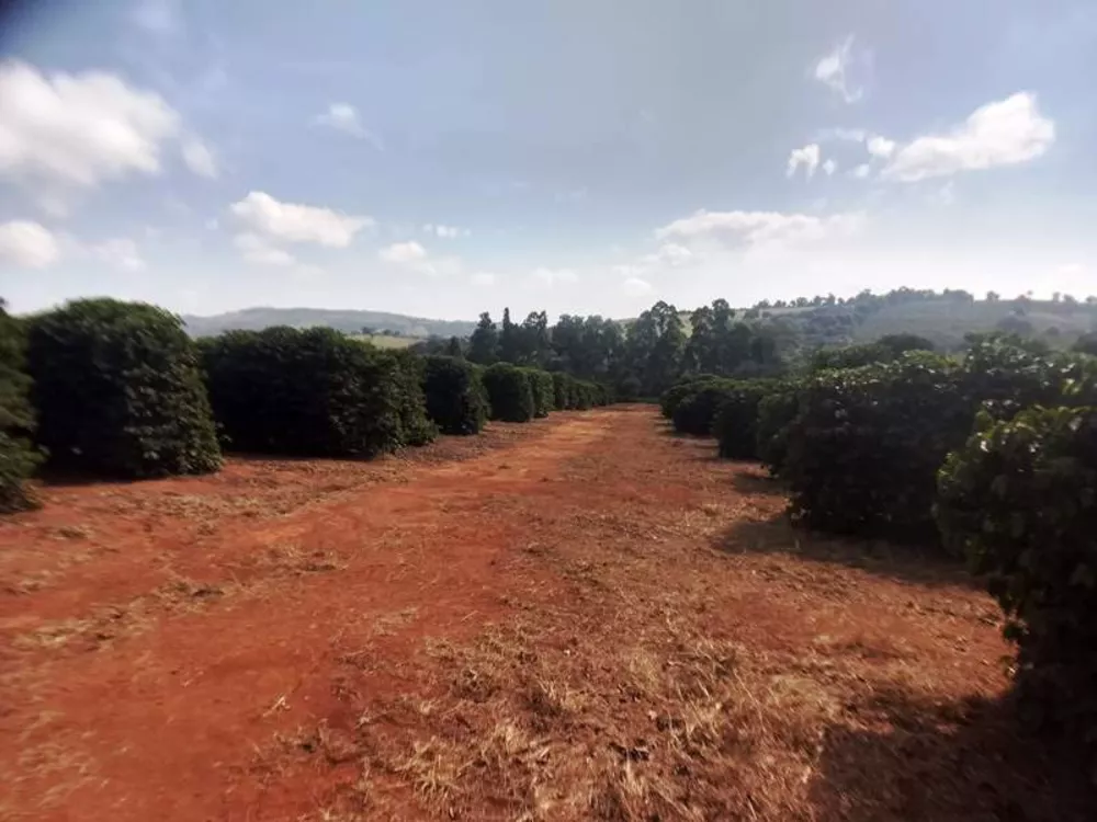 Chácara à venda com 1 quarto, 590000m² - Foto 5