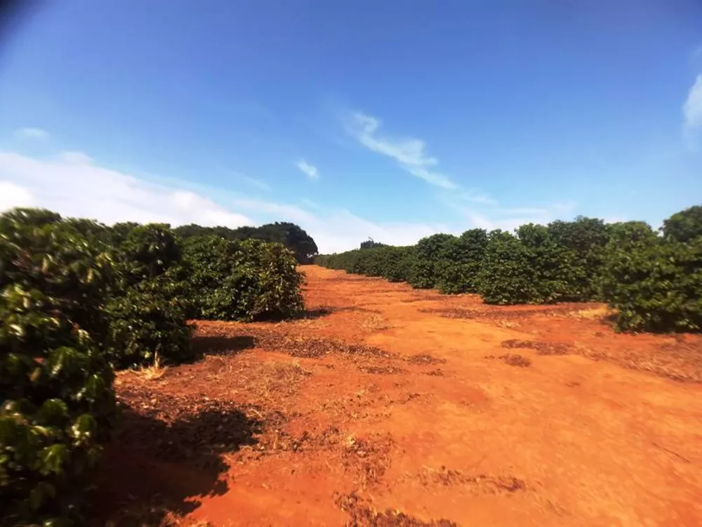 Chácara à venda com 1 quarto, 590000m² - Foto 8