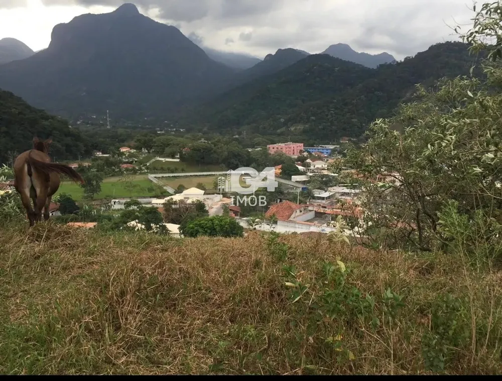 Terreno, 8000 m² - Foto 7