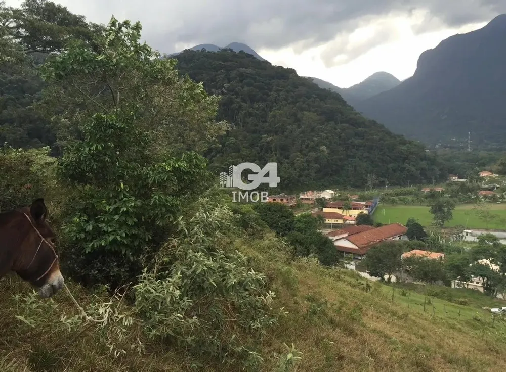 Terreno, 8000 m² - Foto 2