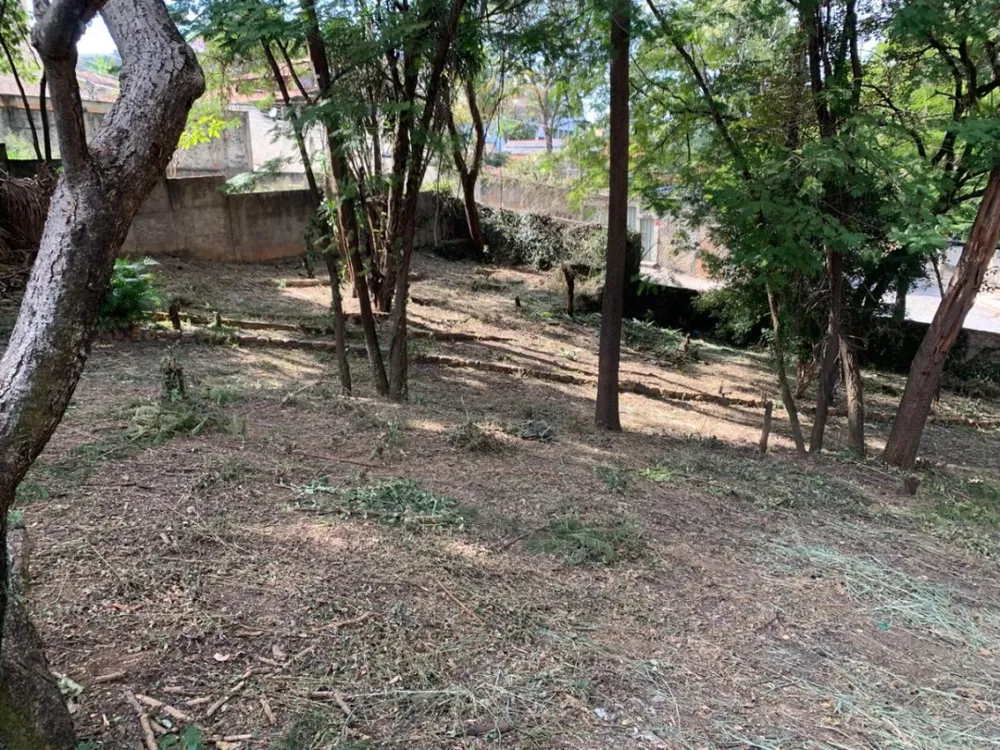 Terreno, 2880 m² - Foto 10