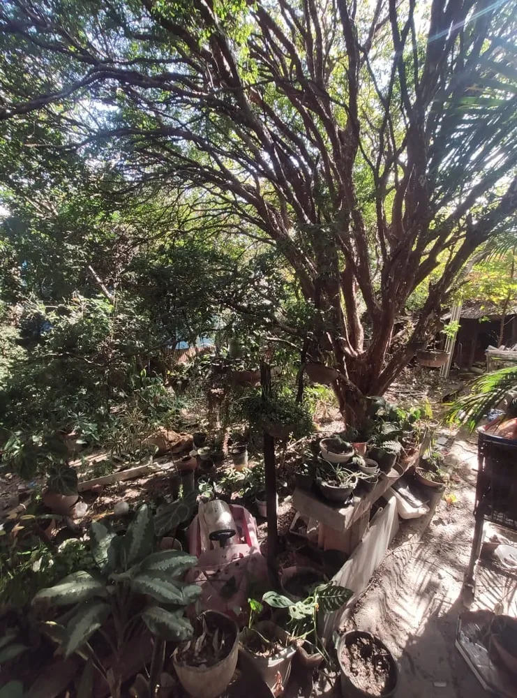 Casa, 1 quarto, 618 m² - Foto 4