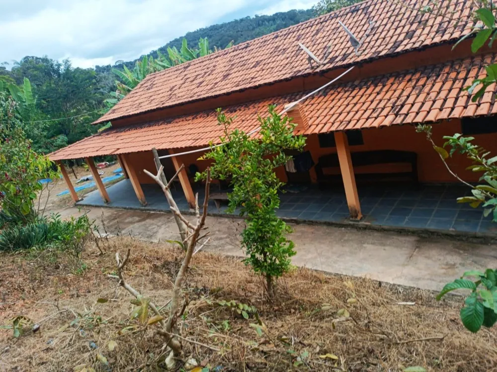 Chácara, 6 quartos, 5000 m² - Foto 3