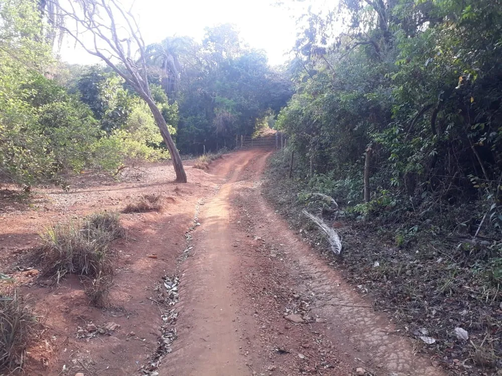 Terreno - Foto 9