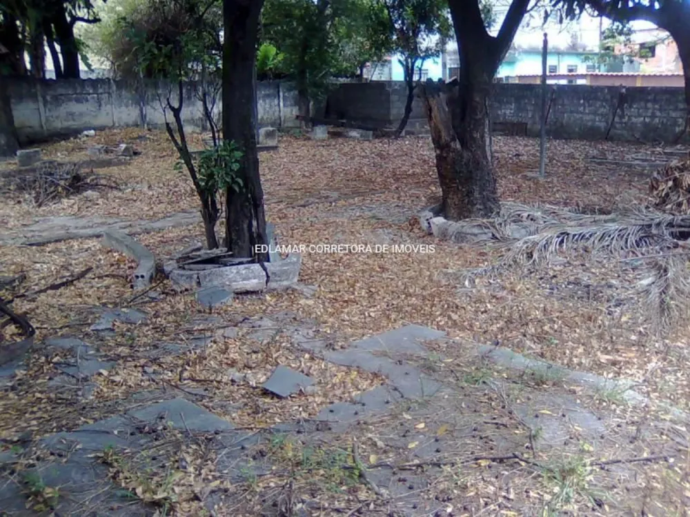 Casa, 3 quartos, 1180 m² - Foto 9