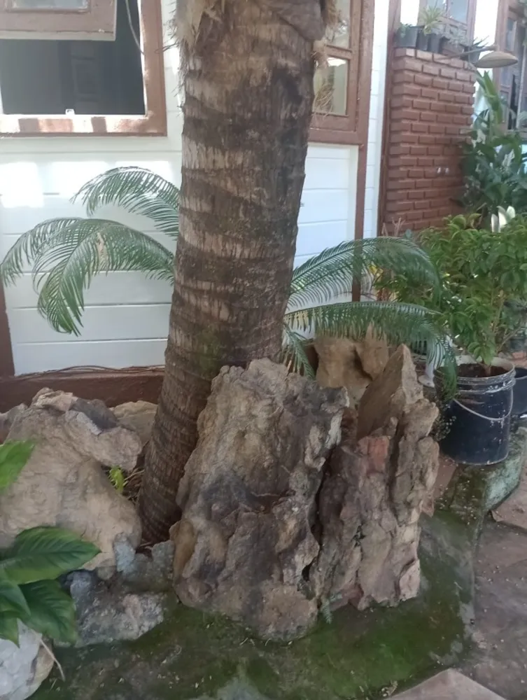 Casa, 5 quartos, 400 m² - Foto 7
