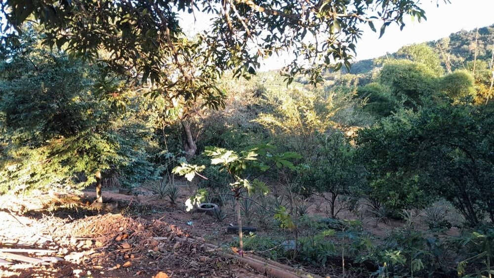 Sítio à venda com 1 quarto, 58500m² - Foto 2