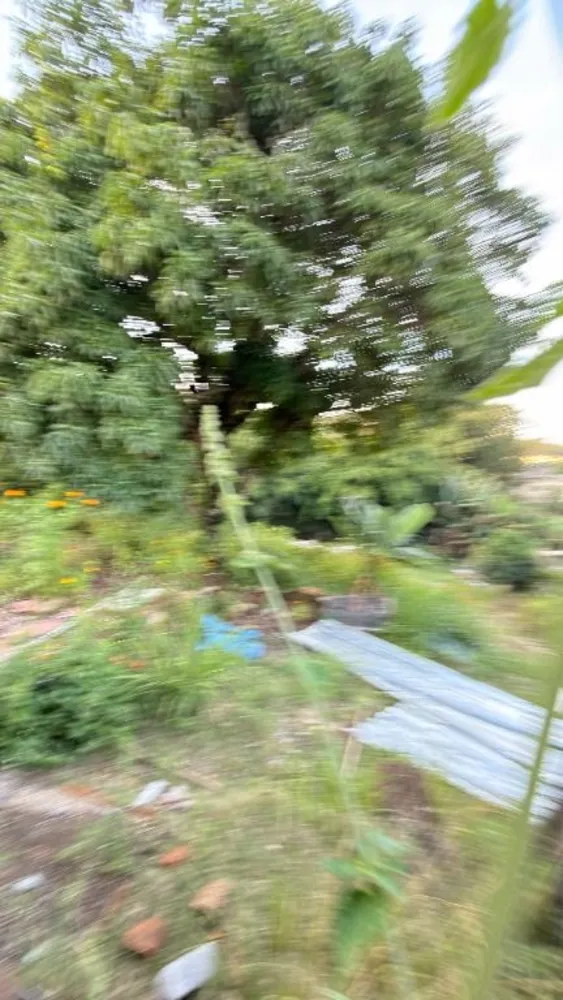 Terreno, 2200 m² - Foto 6