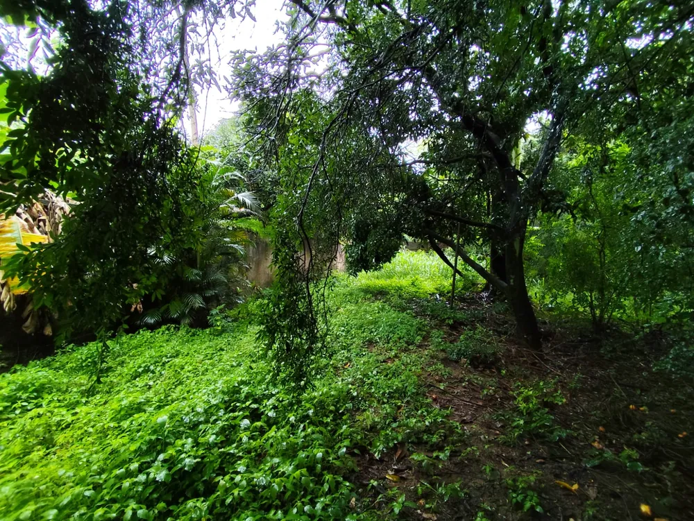 Terreno, 1320 m² - Foto 10
