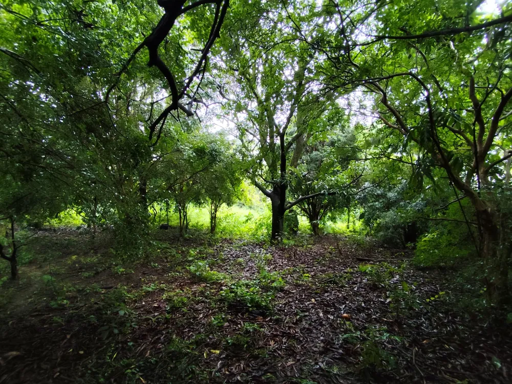 Terreno, 1320 m² - Foto 9