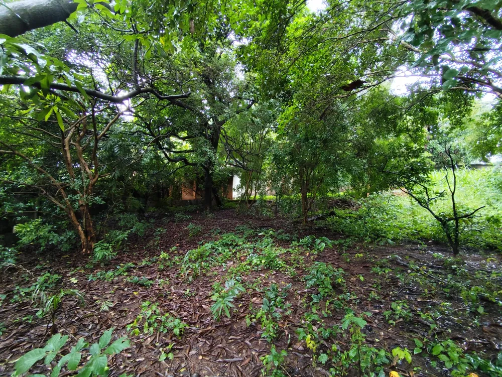 Terreno, 1320 m² - Foto 8