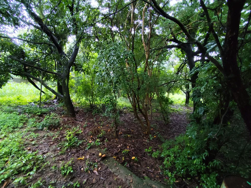 Terreno, 1320 m² - Foto 11