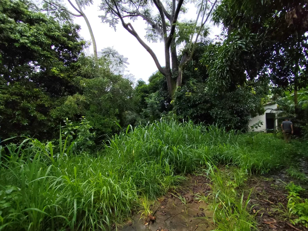 Terreno, 1320 m² - Foto 4