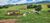 Fazenda, 41 hectares - Foto 2