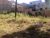 Terreno, 1100 m² - Foto 1