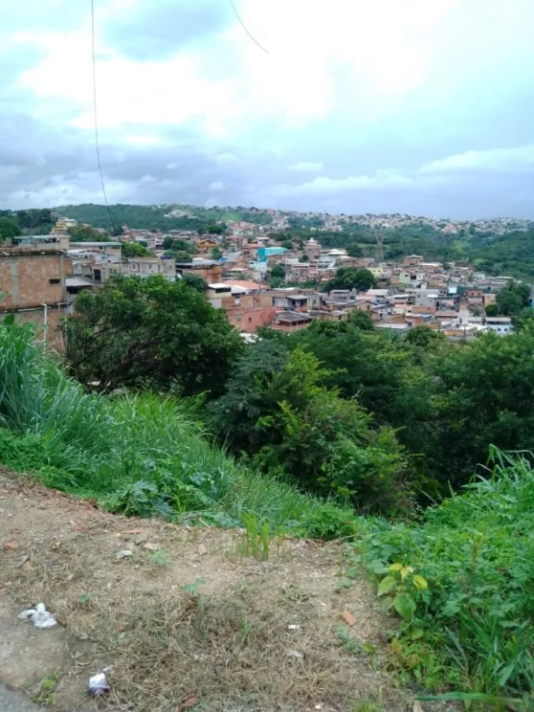 Terreno, 300 m² - Foto 6