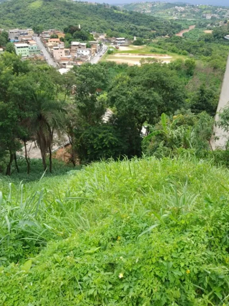 Terreno, 300 m² - Foto 5