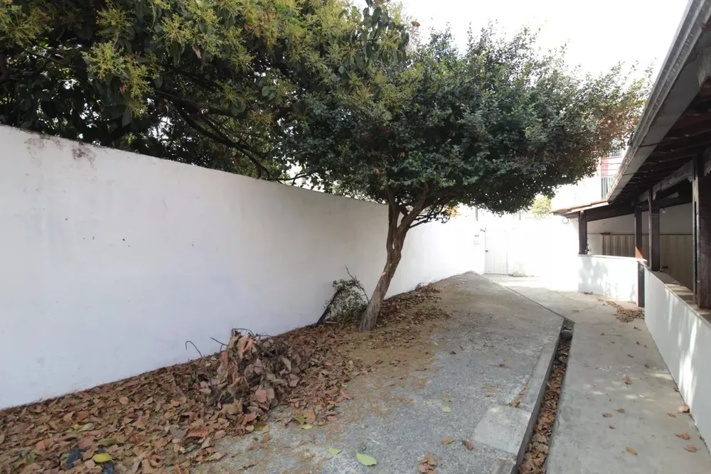 Casa, 4 quartos, 247 m² - Foto 7
