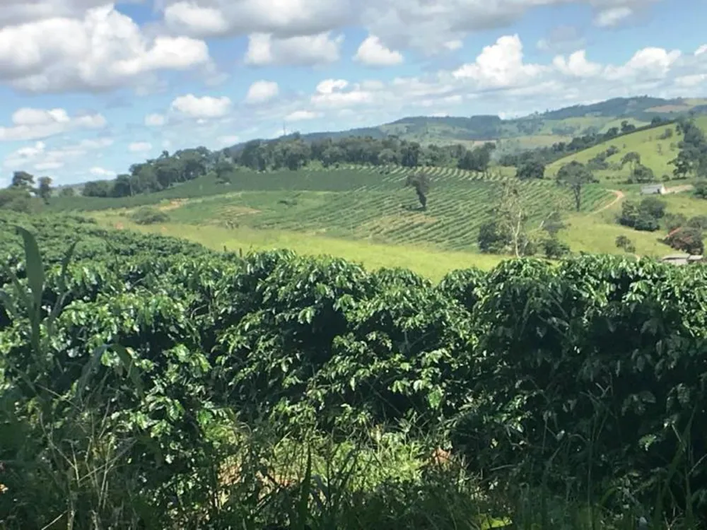 Fazenda, 5 hectares - Foto 1