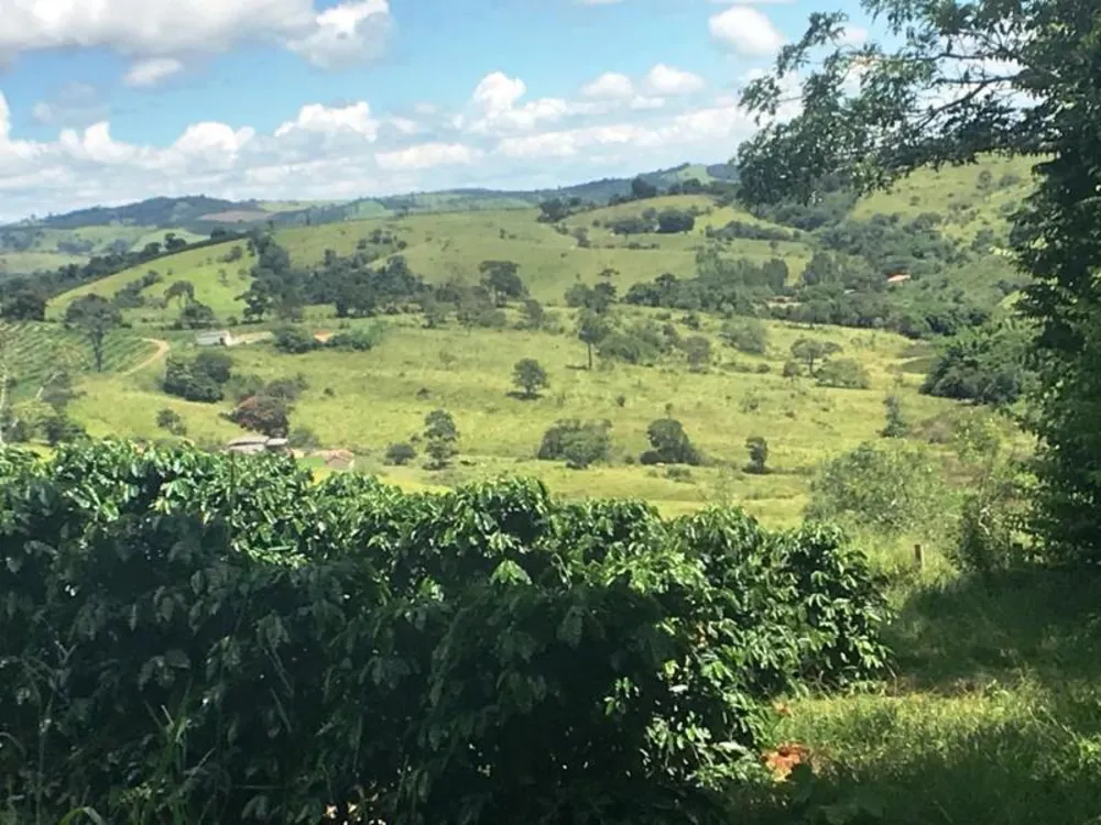 Fazenda, 5 hectares - Foto 17
