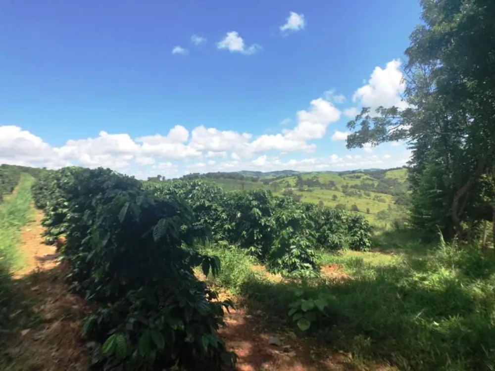 Fazenda, 5 hectares - Foto 7