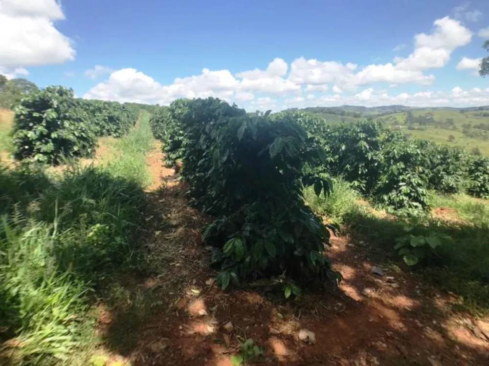 Fazenda, 5 hectares - Foto 5