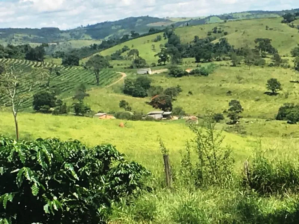 Fazenda, 5 hectares - Foto 7