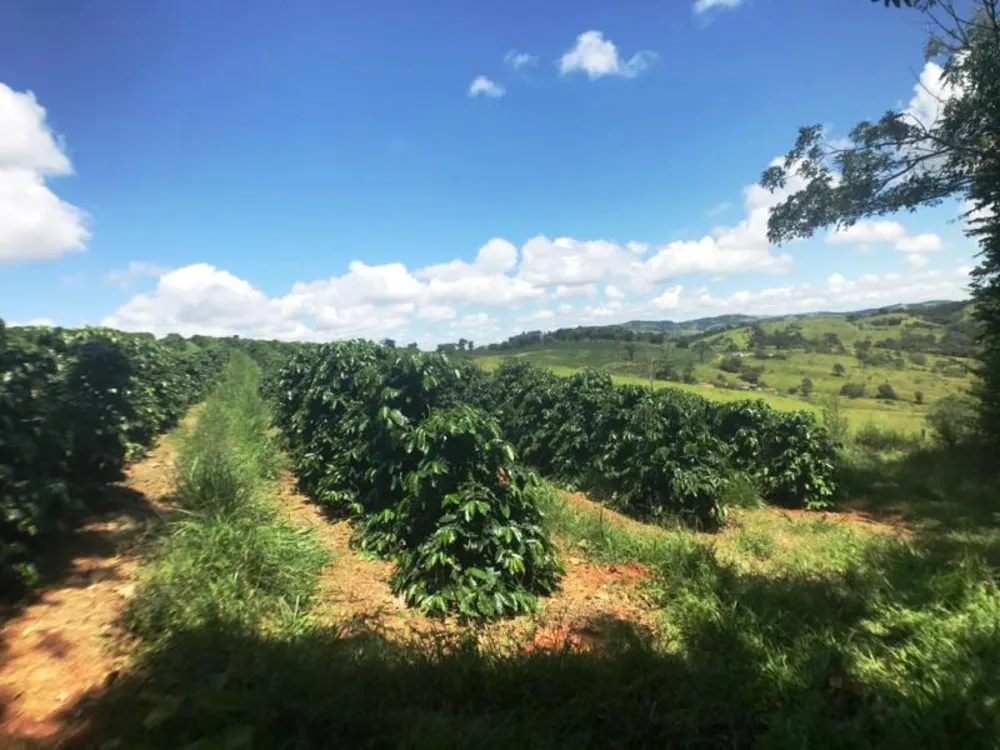 Fazenda, 5 hectares - Foto 5
