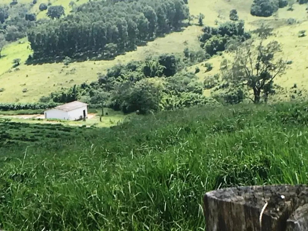 Fazenda, 5 hectares - Foto 11