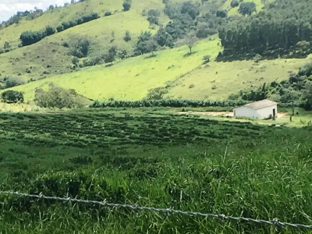 Fazenda, 5 hectares - Foto 10