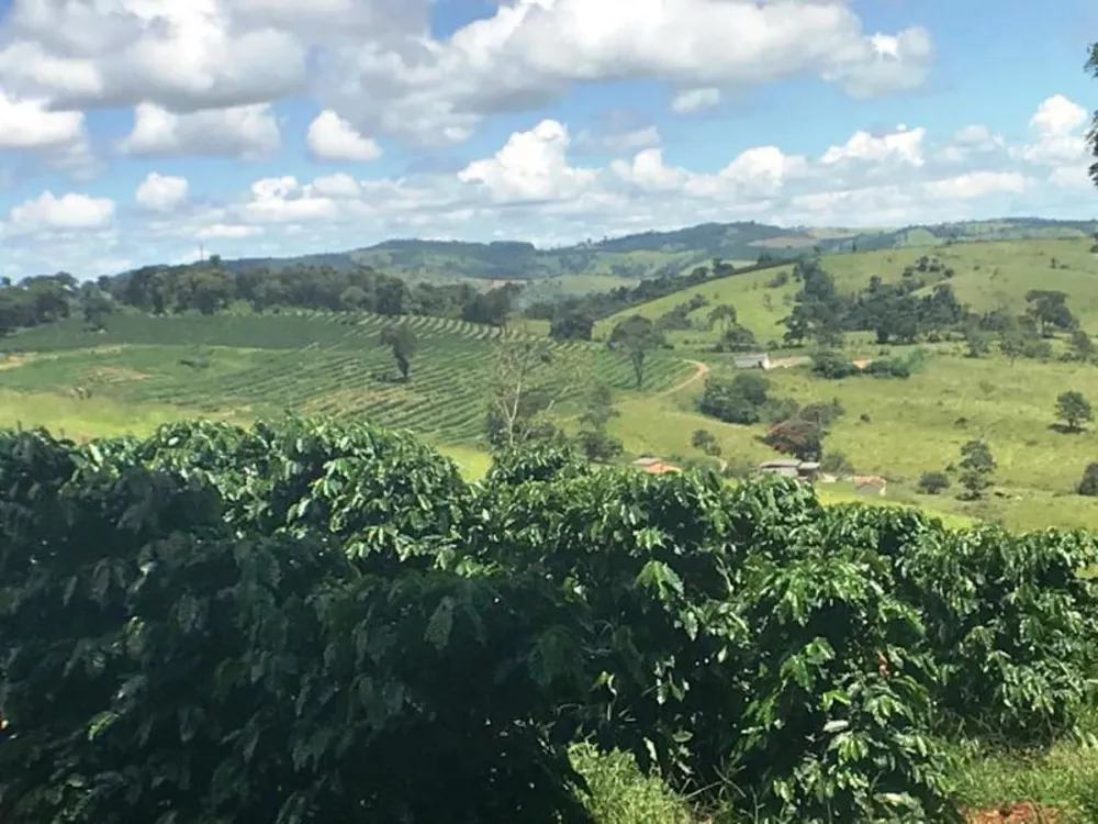 Fazenda, 5 hectares - Foto 4