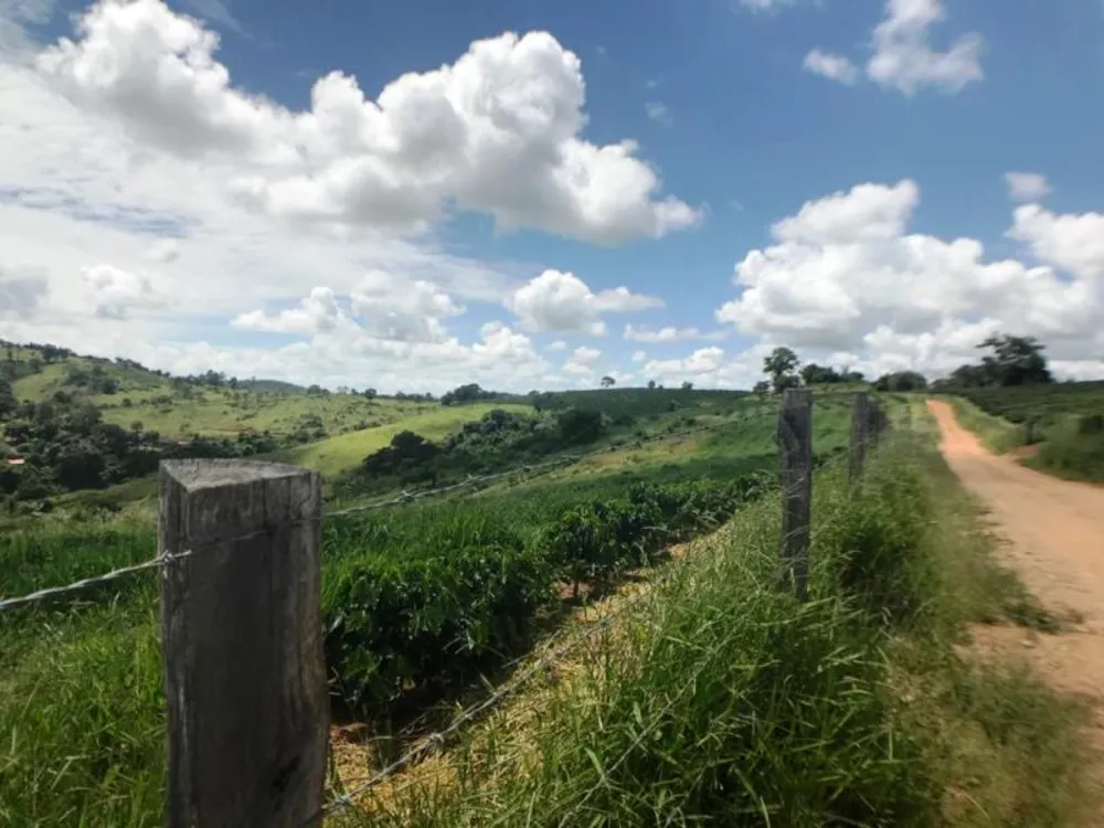 Fazenda, 5 hectares - Foto 12
