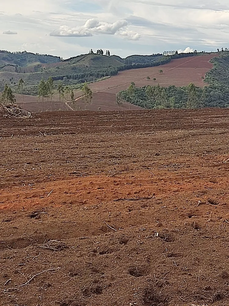 Apartamento, 1 quarto, 1700000 m² - Foto 1