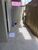 Casa, 3 quartos, 150 m² - Foto 3