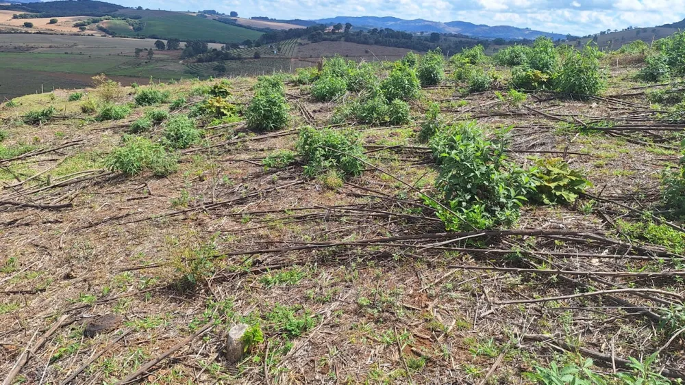Fazenda, 701 m² - Foto 2