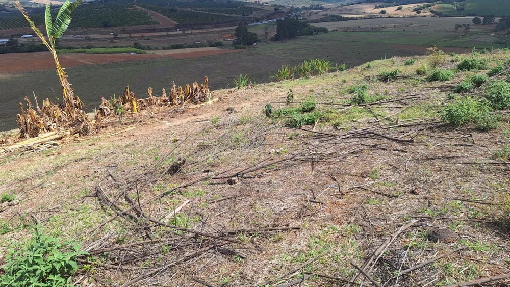 Fazenda, 701 m² - Foto 3