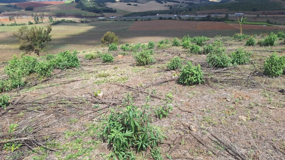 Fazenda, 701 m² - Foto 9