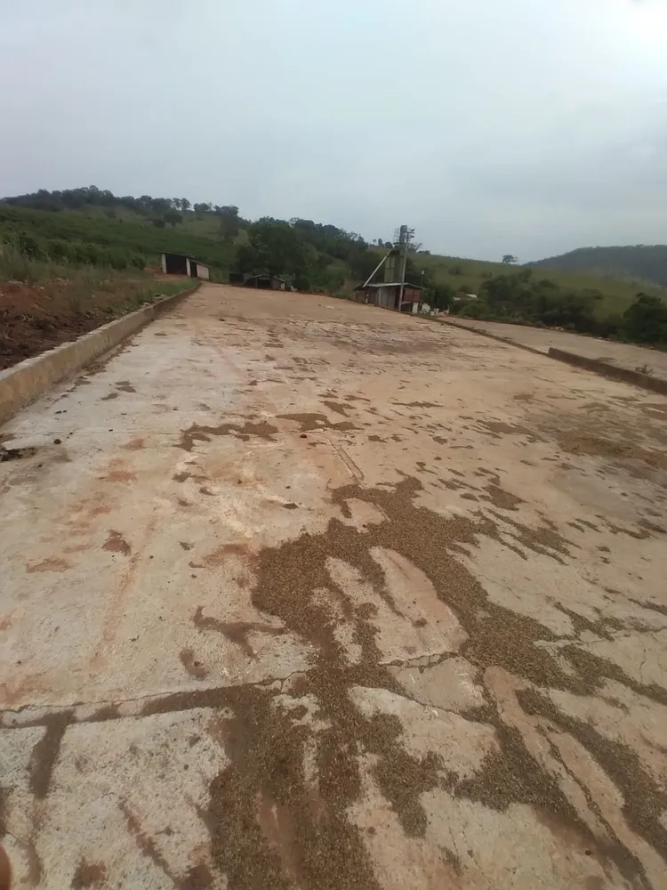 Sítio, 1 quarto, 135000 m² - Foto 1