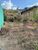 Terreno, 250 m² - Foto 5
