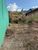 Terreno, 250 m² - Foto 1